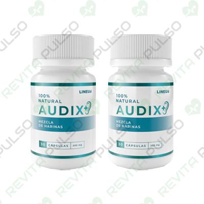 Audix